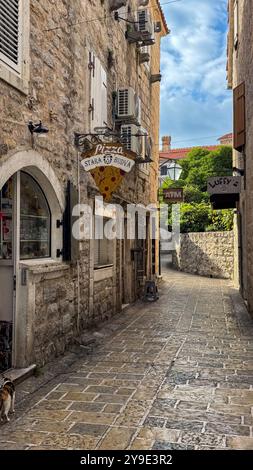 Una stretta strada acciottolata tra edifici in pietra con piccoli negozi e piante lungo un sentiero nella città vecchia di Budva, Montenegro.26 settembre 2024. Foto di alta qualità Foto Stock