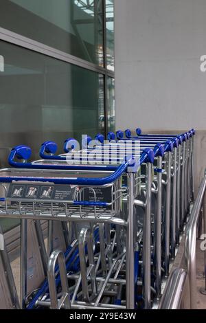 Una fila di carrelli portabagagli vuoti è ordinatamente allineata in un moderno terminal aeroportuale. Foto Stock