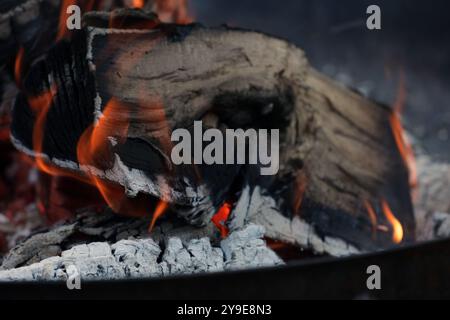 Fuoco legna fuoco braci cenere Foto Stock