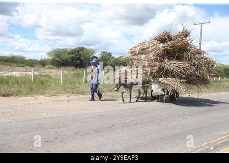 juazeiro, bahia, brasile - 30 aprile 2023: Auto trainata da animali che viaggia in una zona rurale della città di Juazeiro. Foto Stock