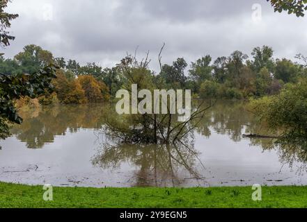 Milano, Italia. 10 ottobre 2024. Il fiume Lambro esonda all'interno del Parco Lambro all'altezza di via Feltre - Milano, Italia - Giovedì, 10 ottobre 2024 (foto Stefano porta/LaPresse) il fiume Lambro sgorga all'interno del Parco Lambro in via Feltre - Milano, Italia - giovedì 10 ottobre 2024 (foto Stefano porta/LaPresse) crediti: LaPresse/Alamy Live News Foto Stock