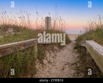 Un sentiero sabbioso fiancheggiato da alte erbe conduce ad una tranquilla spiaggia al tramonto. Amelia Island, Florida, Stati Uniti Foto Stock