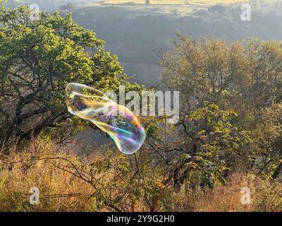 Una grande bolla dai colori vivaci che galleggia nell'aria attraverso il campo aperto Foto Stock