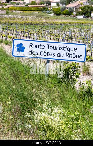 Tipico vigneto con strada del vino (Route Touristique des Cotes du Rhone) vicino a Faucon, Cotes du Rhone, Francia Foto Stock