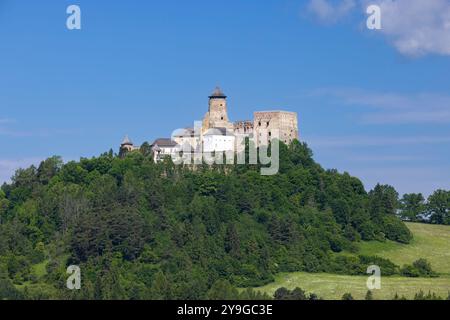 Castello di Stara Lubovna, regione di Presov, Slovacchia Foto Stock