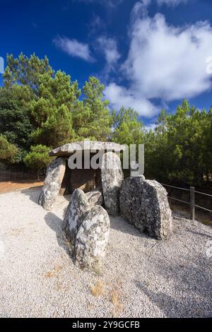 Anta de Vilarinho Dolmen (Pala da Moura) vicino a Vilarinho da Castanheira, Portogallo Foto Stock