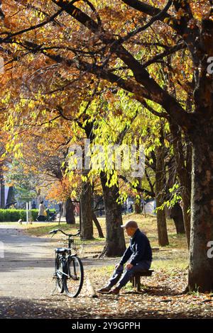 Vita quotidiana in Giappone un uomo anziano che si rilassa su una panchina del parco nel dopoguerra Foto Stock