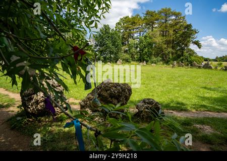 Le Rollright Stones, un complesso di monumenti megalitici neolitici e dell'età del bronzo nei pressi del villaggio di Long Compton, ai confini dell'Oxfordshire e di W Foto Stock