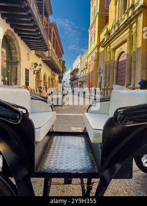 Splendida vista aerea della città fortificata di Cartagena, la sua maestosa Cattedrale, la plaza, il suo arco coloniale Foto Stock