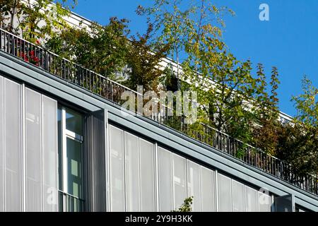 Balcone Appartamento Casa residenziale Terrazza piante verdi arbusti crescono cresce piantando Berlino Germania balconi Europa Foto Stock