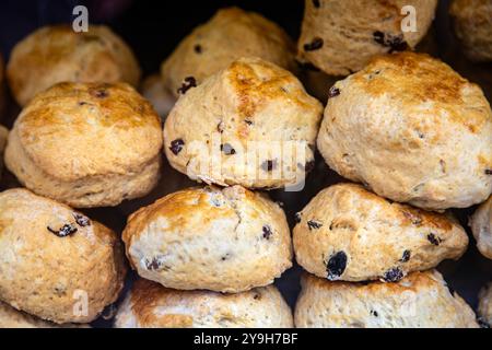 Focaccine alla frutta nella vetrina di St Ives Bakery, St Ives, Cornovaglia, Regno Unito Foto Stock