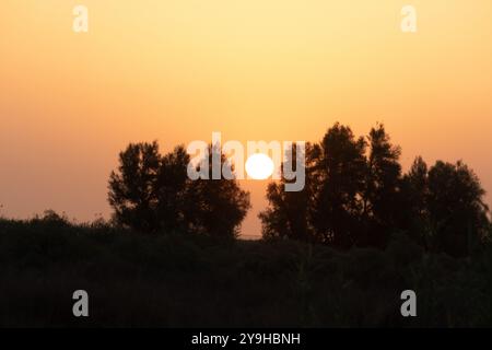 Splendida alba con un buon sfondo vicino al mare Arabico in Kuwait Foto Stock