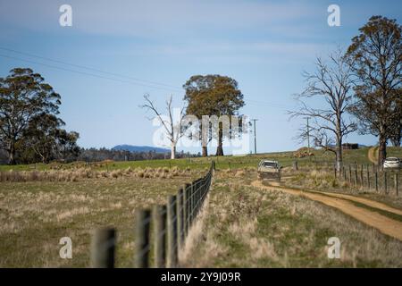 guidare lungo una strada sterrata in ghiaia nell'entroterra australiano in un camion di un'azienda agricola, una recinzione metallica Foto Stock