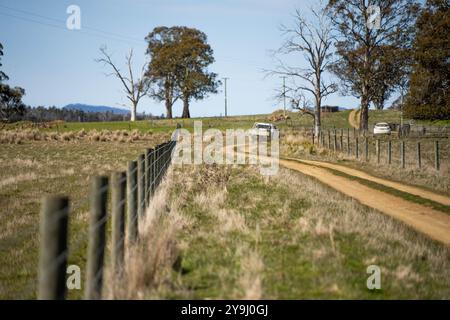 guidare lungo una strada sterrata in ghiaia nell'entroterra australiano in un camion di un'azienda agricola, una recinzione metallica Foto Stock