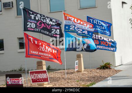 Red Wing, Minnesota. Gruppo di bandiere Trump che soffiano nel vento con dei segnali. Foto Stock