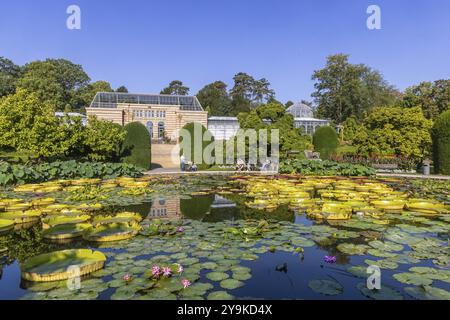 Laghetto di ninfee nel giardino zoologico-botanico, giardino moresco dello zoo, Stoccarda, Baden-Wuerttemberg, Germania, Europa Foto Stock