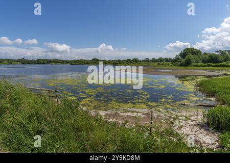 Piccolo Noor nella riserva naturale penisola di Holnis, riserva naturale sul fiordo di Flensburg, lago interno con collegamento con il fiordo, la riva delle canne, blu S Foto Stock