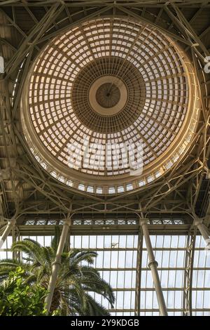 Sala centrale con cupola, giardino di palme, NY Carlsberg Glyptotek o New Carlsberg Glyptothek, museo d'arte per scultura e pittura, architetti Vilhelm Dah Foto Stock