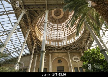 Sala centrale con cupola, giardino di palme, NY Carlsberg Glyptotek o New Carlsberg Glyptothek, museo d'arte per scultura e pittura, architetti Vilhelm Dah Foto Stock