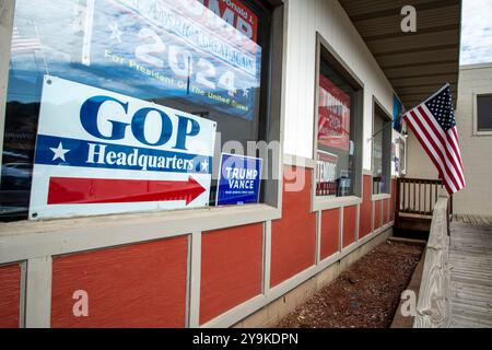 Red Wing, Minnesota. Bandiera americana e cartelli Trump-Vance fuori dal negozio a tema Trump. Presso la sede della GOP. Foto Stock