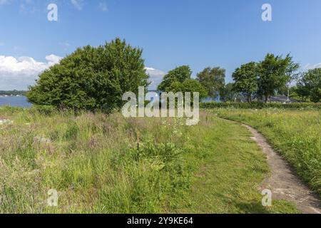 Sentiero escursionistico nella riserva naturale della penisola di Holnis sul fiordo di Flensburg, riserva naturale, gruppo di alberi, edificio, cielo azzurro, nuvole bianche, Gluecksb Foto Stock