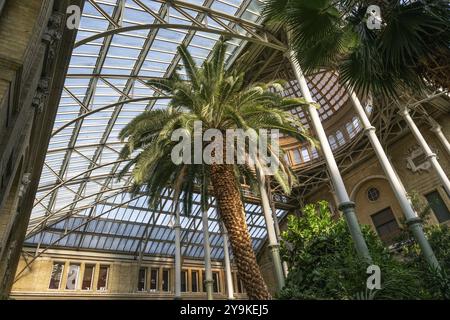 Sala centrale con cupola, giardino di palme, NY Carlsberg Glyptotek o New Carlsberg Glyptothek, museo d'arte per scultura e pittura, architetti Vilhelm Dah Foto Stock