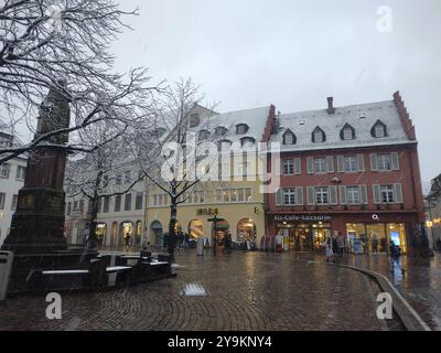 Ritorno invernale: Dopo una giornata di scongelamento, l'inverno è tornato, almeno per un breve periodo. Come qui a Friburgo in Brisgovia, ha nevicato giovedì. Dovrebbe essere B. Foto Stock