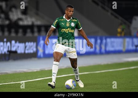 Rio de Janeiro, Brasile, 17 luglio 2024. Partita di calcio tra Botafogo e Palmeiras, per il campionato brasiliano 2024, tenutasi al Nilton Santos st Foto Stock