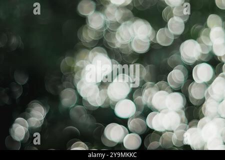 Crea un cerchio con motivi bokeh di varie dimensioni e luminosità su sfondo verde scuro. Adatto per sfondo o sfondo digitale. Foto Stock