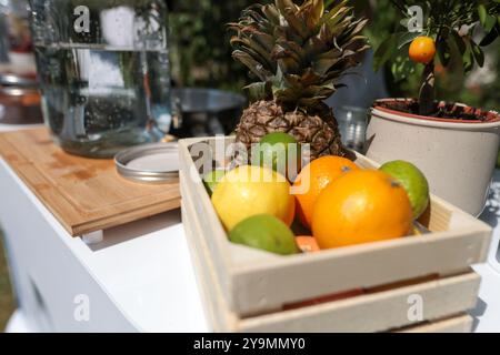 Profondità di campo bassa (messa a fuoco selettiva) dettagli con ananas, limoni, lime e arance su limonata. Foto Stock
