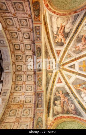 Italia, Lombardia, Pandino, Chiesa di Santa Marta, soffitto Foto Stock