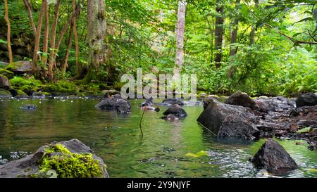 Un piccolo ruscello in Svezia. Pietre coperte di muschio. Foresta sulla riva del fiume. Natura scandinava Foto Stock