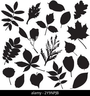 Collezione di diverse silhouette di foglie isolate su bianco Illustrazione Vettoriale