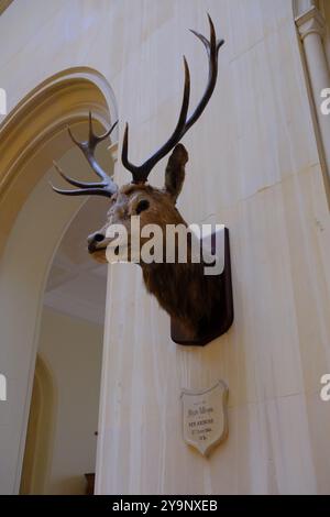 Trofei di caccia al castello di Dunrobin vicino a Golspie Highland, Scozia Foto Stock