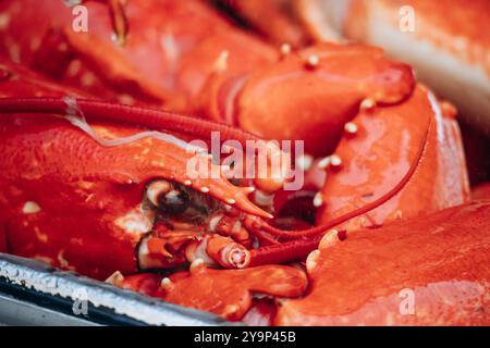 Primo piano di aragoste al mercato di Mentone, sulla Costa Azzurra Foto Stock