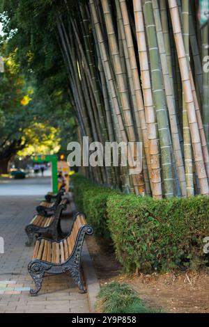 Un tranquillo parco, dove una fila di panche in legno ben disposte, sostenute da dettagliate strutture in ferro battuto, si snoda su un passaggio pedonale in ciottoli a Batumi Foto Stock