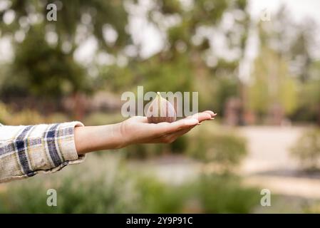 Donna che tiene un fico nel palmo della mano Foto Stock