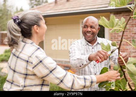 Uomo sorridente alla donna che sta per tagliare un fico Foto Stock