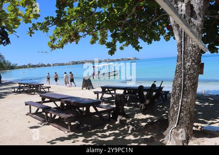 Passeggiando lungo il lungomare con splendidi alberi e panchine per rilassarsi Foto Stock