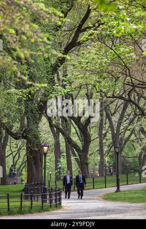 Uomini in abiti da lavoro che camminano attraverso il verde lussureggiante Central Park di New York Foto Stock