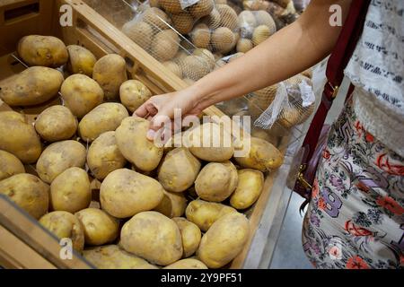 La mano corta della donna sceglie la patata cruda nel contenitore Foto Stock