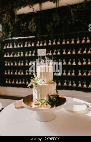 Elegante torta nuziale con vegetazione, decorata con insegne in acrilico Foto Stock