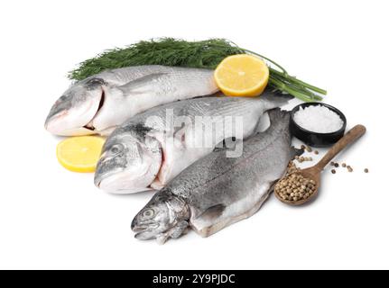 Cibo di mare. Diversi tipi di pesce fresco con spezie isolate su bianco Foto Stock