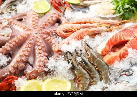 Polpo, gamberetti crudi e cibo di mare su ghiaccio e primo piano Foto Stock