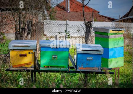 Una fila di alveari colorati dipinti in varie tonalità di blu, giallo e verde si erge in giardino, gli alveari sono fatti di legno e hanno un alluminio Foto Stock