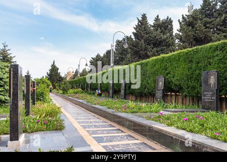 Baku, Azerbaigian - 6 maggio 2024: Vicolo dei Martiri, abbellito da ritratti commemorativi tra alberi verdeggianti e un'atmosfera serena Foto Stock