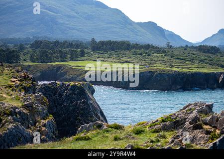 Le scogliere a Bufones di Pria nel Mar Cantabrico, note anche come i Blowholes di Pria, sono un affascinante fenomeno geologico naturale situato a nord Foto Stock