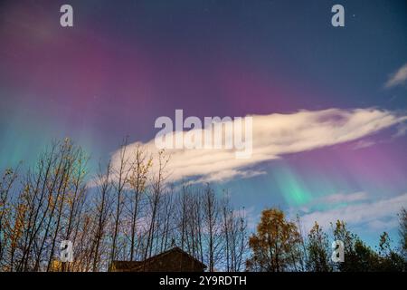 Major Aurora display Across the Alaska l'aurora boreale appare ad Anchorage, Alaska, Stati Uniti d'America, il 10 ottobre 2024. I display Aurora sono causati quando particelle cariche urtano contro i gas nell'atmosfera terrestre intorno ai poli magnetici. Quando si scontrano, viene emessa luce di varie lunghezze d'onda, creando immagini colorate nel cielo. Copyright: XHASANxAKBASx Foto Stock