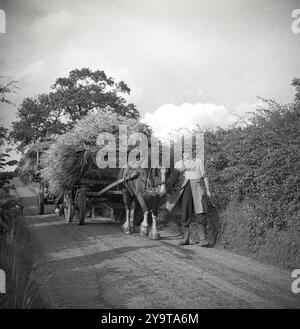 Anni '1950, storico agricoltore che conduce un cavallo e un carro pieno di fieno lungo una stretta strada di campagna, Inghilterra, Regno Unito. Foto Stock