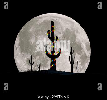 Un cactus saguaro nel deserto è decorato come un albero di Natale di fronte a una luna piena in un'illustrazione in 3D che illustra come festeggiare le vacanze natalizie in Foto Stock